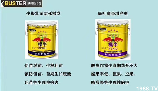     如何讓種植變得更輕松？一個(gè)套餐，全面配方，巴斯特大姜營(yíng)養(yǎng)套餐方案！