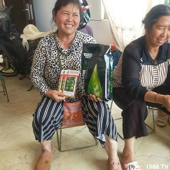     如何讓種植變得更輕松？一個(gè)套餐，全面配方，巴斯特大姜營(yíng)養(yǎng)套餐方案！