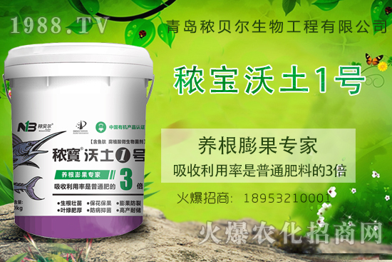 果實養(yǎng)根膨果關(guān)鍵期，果實養(yǎng)根膨果該施什么肥呢？