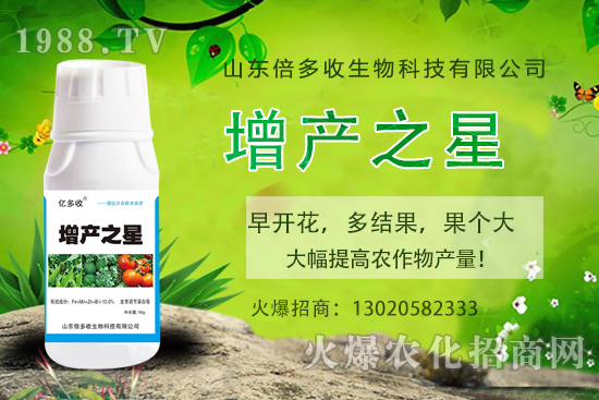 茄子需肥規(guī)律有哪些，茄子用什么肥料？茄子施肥注意事項！