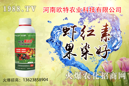  草莓苗品種如何選擇，怎么提高草莓苗種植成活率？