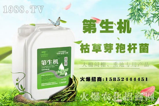 豆角只長蔓不開花啥原因？如何促花促莢提產(chǎn)量？