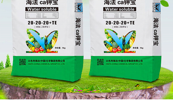 海法Ca鉀寶20-20-20+TE（5kg）-海法_02