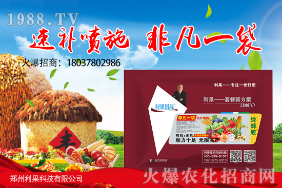 花生要高產(chǎn),苗期管理要做好!花生苗期應該如何管理?