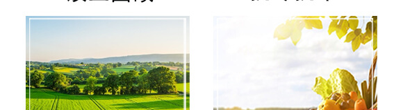 礦源黃腐酸鉀-黑金鉀-田小超_06