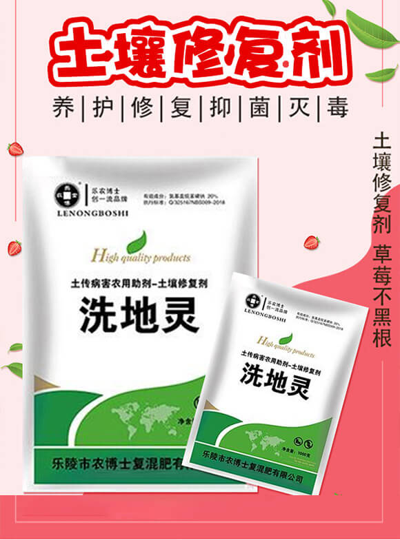 土壤修復劑（草莓）-洗地靈-樂農(nóng)博士_02