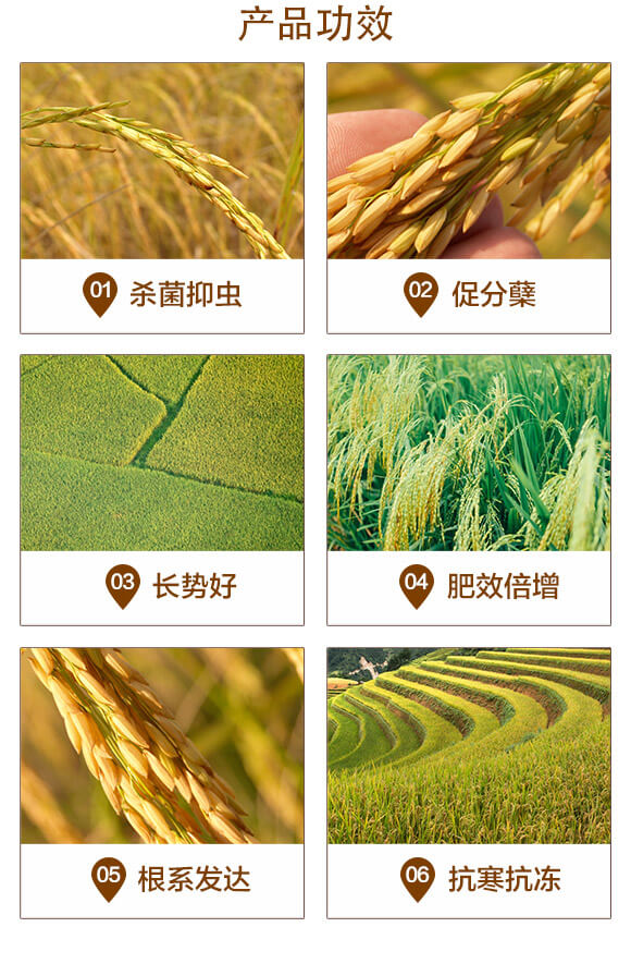 長效緩釋摻混肥料-硅+鋅水稻肥-美科益農(nóng)_03