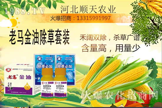 如何提高玉米苗后除草效率？玉米除草關(guān)鍵點大匯總！