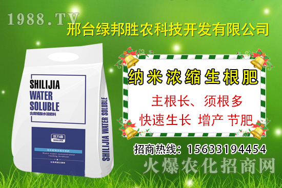 番茄死棵究竟哪些原因所致，如何預(yù)防番茄死棵發(fā)生？