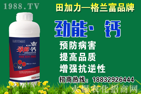 2020秋蘿卜什么時(shí)候種？秋蘿卜種植要注意哪些問題？