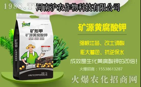 南瓜生長分哪幾個過程?南瓜施肥要點(diǎn),用什么肥料好?