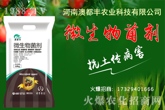 玉米穗期發(fā)育特點有哪些？玉米穗期田間管理要點！