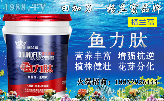 ���䌦(du��)�B(y��ng)���������c(di��n)����Щ������ʩ���`�^(q��)�����_ʩ�ʷ�����
