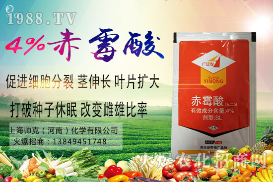 魔芋種植要點(diǎn)有哪些?魔芋市場(chǎng)價(jià)格及種植前景分析!