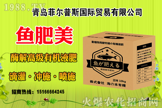 玉米結實不好啥原因？有法補救嗎？玉米結實不良改善措施！