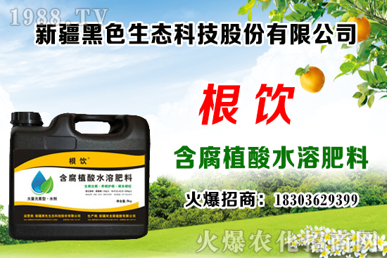 立秋后露地大白菜播種時(shí)間，管理需注意什么問(wèn)題？