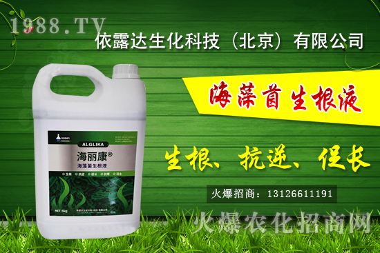 獼猴桃有哪些品種，獼猴桃和奇異果有什么區(qū)別？