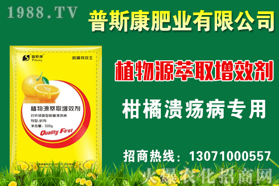 茭白無公害栽培技術(shù)要點,茭白采收標(biāo)準(zhǔn)及方法!