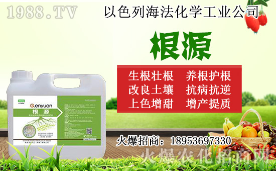 無花果怎么扦插？無花果扦插時間及扦插繁殖方法！