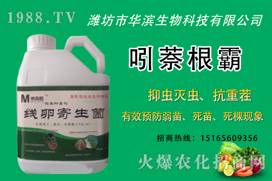 無花果種植什么品種較好?無花果皮可以吃嗎?種植前景怎樣?