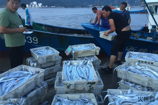 魚(yú)蛋白原料