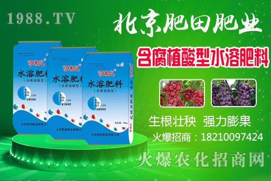 蘆柑產(chǎn)地在哪？蘆柑什么時候上市？如何挑選蘆柑？