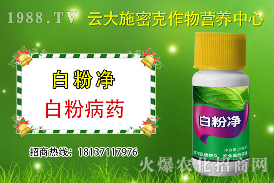 ʲô��ֲ��Դ�rˎ��ֲ��Դ�rˎ�c���W�rˎ�^(q��)�e������