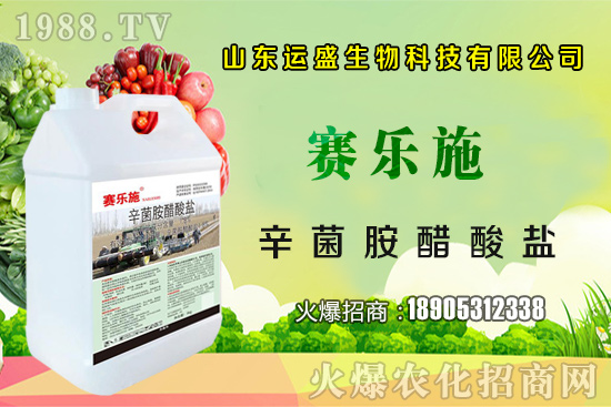 大棚杏樹的授粉方法,大棚杏樹如何多坐果?