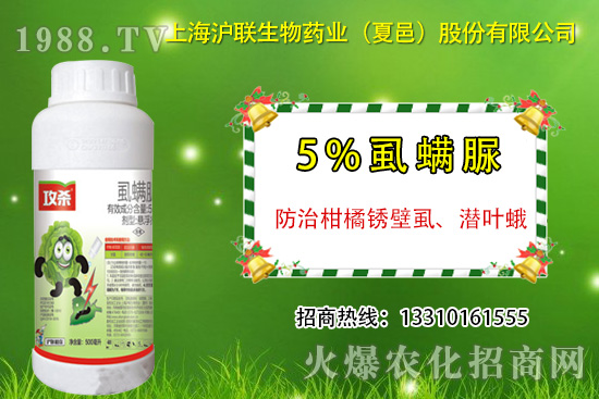 柑橘銹壁虱有什么癥狀？怎么防治？柑橘銹壁虱用藥推薦