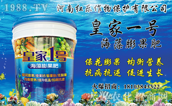 花椒產(chǎn)地主要在哪？花椒價(jià)格多少錢一斤？種植前景及效益分析！