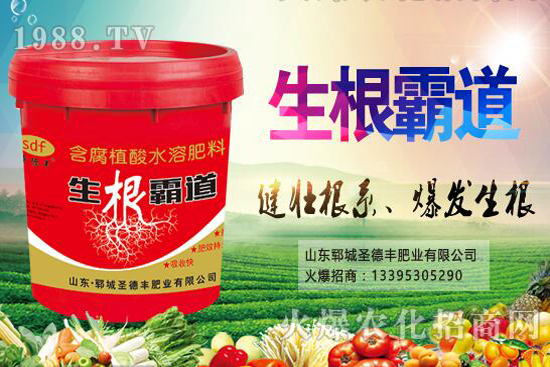 花椒樹種植季節(jié)是什么時候？花椒樹種植技巧有哪些？