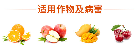 枯草芽孢桿菌-一包金-英爾果_08