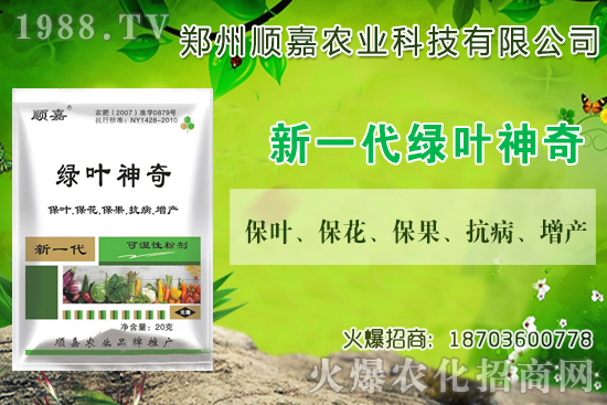 小麥價格連連上漲！現(xiàn)在一斤多少錢？