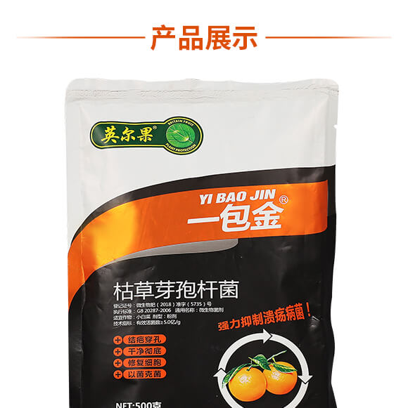 枯草芽孢桿菌-一包金-英爾果_12