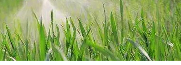 ΢��Ԫ��ˮ�ܷ���-ϡ��13Ԫ��-Ӣ����_15