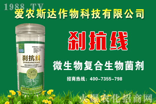 今日糧價(jià)：2020年9月11日小麥價(jià)格行情預(yù)測(cè)！