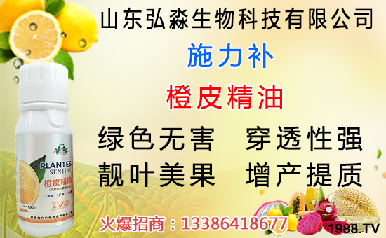 水蜜桃是硬的好還是軟的好？水蜜桃挑選方法及儲存竅門！