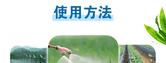 �Ҹ����\-Ӣ����_09