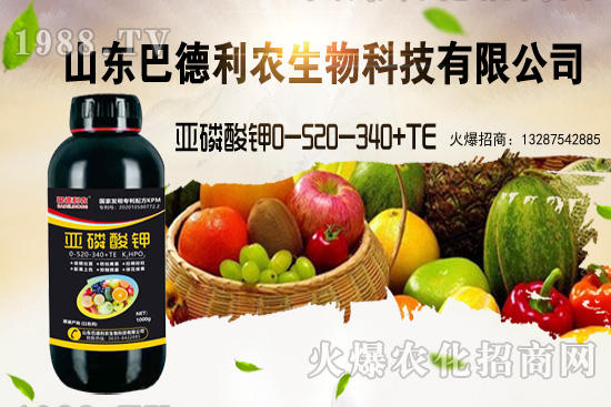 小麥價(jià)格能漲到多少錢一斤？部分地區(qū)價(jià)格行情！