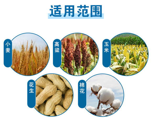 240g高氮360-英爾果_08