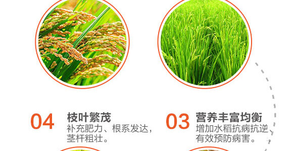 飛防專(zhuān)用-稻喜-英爾果_04
