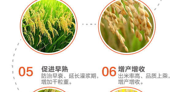 飛防專(zhuān)用-稻喜-英爾果_05