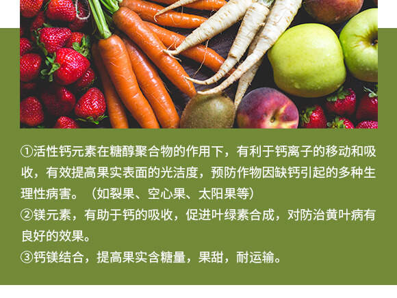 中量元素水溶肥料-糖醇鈣鎂-英爾果_04