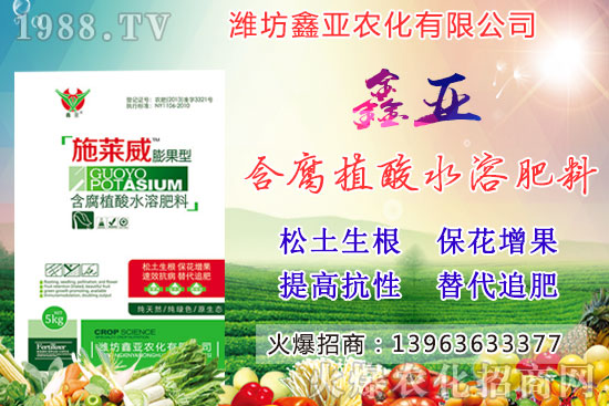 糧食漲價！20209月17日小麥價格行情如何？