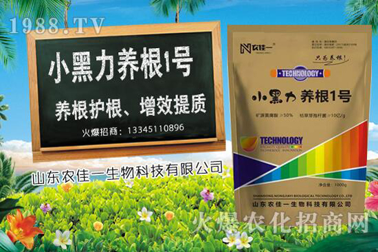 甜椒種植時如何選用肥料,甜椒施肥方法有哪些?