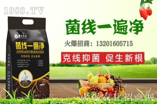 9月19日小麥價(jià)格更新，漲跌互現(xiàn)！