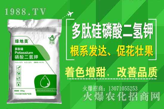 芹菜的優(yōu)良品種有哪些？芹菜種植生長(zhǎng)環(huán)境（附種植技術(shù)）