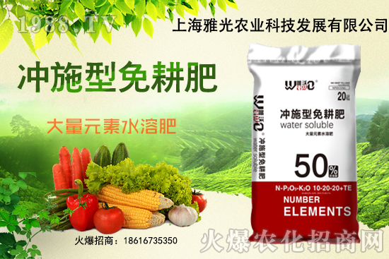 白菜一畝地需要多少肥料，白菜施肥過后需立即澆水嗎？