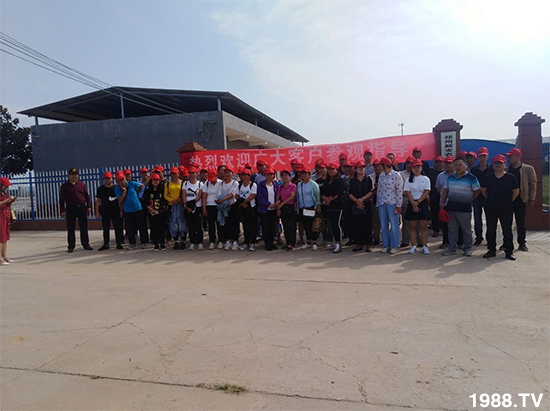 水溶肥市場大變革！？海藻精、魚蛋白將被它代替！1000多用戶鼎力推薦！