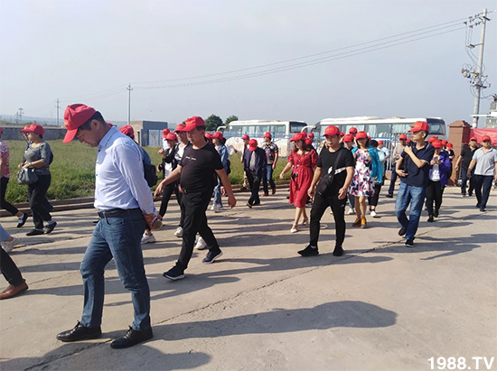 水溶肥市場大變革??？海藻精、魚蛋白將被它代替！1000多用戶鼎力推薦！